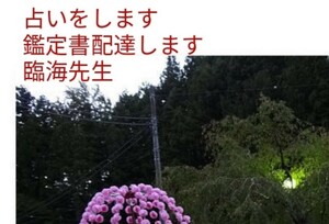 陰陽師霊視悩み受付祈祷鑑定書配達します。大人気お守りつき。陰陽師手作り白蛇皮金運祈祷込みヒーリングつき厄払い込み