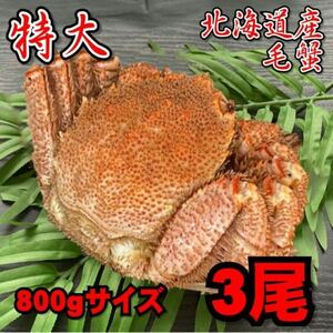 【訳あり】特大　毛がに　3尾（約800ｇサイズ）　北海道産　堅蟹　毛蟹　けがに　ケガニ　蟹　かに　ボイル　母の日　父の日　お歳暮