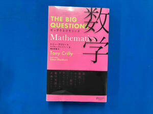 ビッグクエスチョンズ 数学(Mathematics) トニー・クリリー