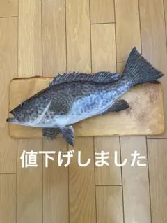 魚剥製