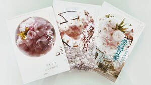 ◆桜の通り抜け 2006・2007・2008年プルーフ 貨幣セット 【大手毬・松月・普賢象】造幣局 3点セット◇◆ 