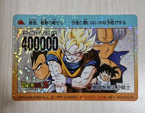 ドラゴンボールZ PPカード No.804 地球を救えZ戦士 デジタルタイプ アマダ カードダス キラ 厚紙 当時 