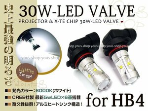 ノア後期 AZR60系 LEDバルブ HB4 フォグランプ 30W CREE