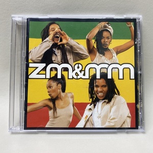 ZIGGY MARLEY / FALLEN IS BABYLON レゲエ CD アルバム REGGAE 【再生確認済】送料無料 #R55