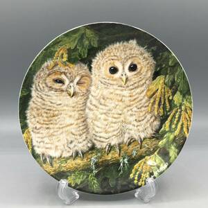 英国 ウェッジウッド モリフクロウ 梟 フクロウ 鳥 飾り皿 絵皿 皿 ⑤⑤⑤ (1)