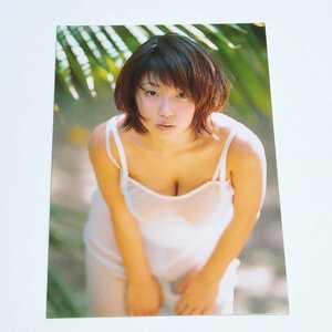 さくら堂 2003 MEGUMI カード No.01