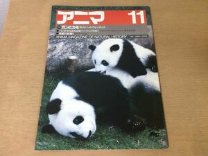 ●K25D●アニマ●1983年11月●ガンとカモ冬のバードウォッチング●パンダ海鷲の魚獲り●平凡社●即決