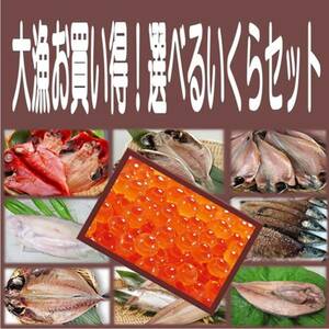 8《送料無料》いくら500g＋選べる干物６品セット 金目鯛 沼津産鯵 ホッケ カマス えぼ鯛 大サバ 対馬鯵 秋刀魚 平サバ 鰯より選択