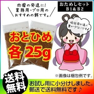 318-01-000 ★追跡なし★ お試し 日清丸紅飼料おとひめB1/B2(沈降性)各25g/メダカのごはん 稚魚の餌 グッピーのエサ　金魚小屋-希-福岡