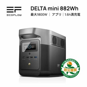 美品 バッグ付き EcoFlowメーカー直売 ポータブル電源 DELTA Mini 保証付き 防災用品 バッテリー 急速充電キャンプ 車中泊 エコフロー