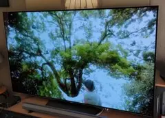 LG 65V型 有機EL テレビ OLED65B6P 4K 外付けHDD裏番組録