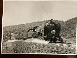 昭和鉄道写真：東海道本線走行中のC62 36[宮原]牽引特急「つばめ」。撮影時期場所不明。11.7×16.2㎝。