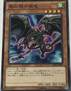 遊戯王 ジャンク ノーマル 効果モンスター 1枚 真紅眼の飛竜 SR02