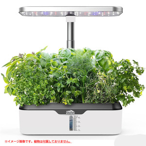 C5218YO ◆0420_4凹【アウトレット品】水耕栽培 育苗 キット ZIREE A50 植物育成 家庭菜園 自動水循環システム搭載未使用