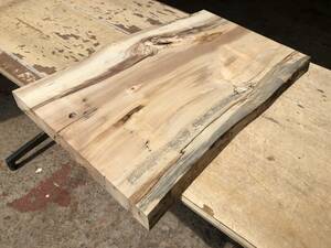 送料無料！【S870H】栃 590～598×～365×37㎜ スポルテッド 乾燥材 木工 DIY 材木 天然木 無垢材《銘木すずめや》