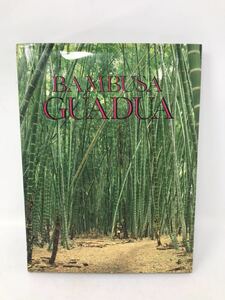 竹細工 竹工芸 竹建築 コロンビア洋書 Bambusa Guadua バンブー 竹垣 竹デザイン