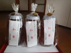 日本ミツバチの蜂蜜(1200g入り）3本セット