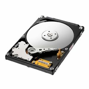 サムスン HM321HI 320GB 内蔵型HDD