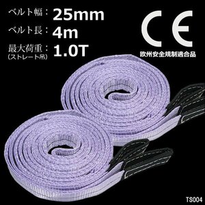 ナイロンスリングベルト 幅25mm×4m【2本】紫 耐荷1000kg CE規格品 荷吊りベルト ベルトスリング/10