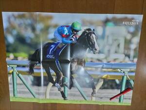 17 JRA★イクイノックス★名馬の肖像★ビッグポスター★優駿特別付録