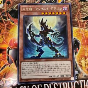 遊戯王　レア　LEDE-JP027　 月牙龍-クレセント・ドラゴン　LEGACY OF DESTRUCTION