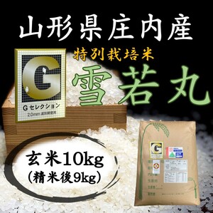 ◇Gセレクション♪雪若丸♪令和５年産！山形庄内産玄米１０kg（白米９kg）送料無料