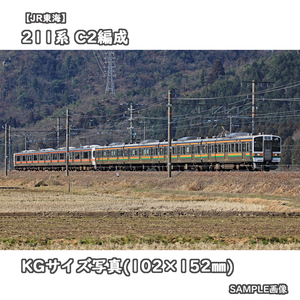 ◎KG写真【JR東海】211系電車 C2編成 ■普通 ■多客期増結運転 □撮影:東海道本線 2011/3/29［KG1402］