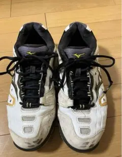 MIZUNO ソフトテニス シューズ 25.0