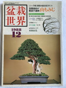 中古 盆栽世界 1988年12月号