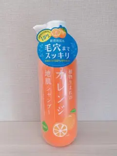 【新品・未開封】石澤研究所 植物生まれのオレンジ地肌シャンプーN