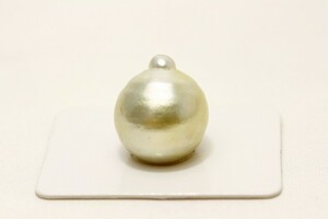南洋白蝶真珠パールルース　片穴　17×15mm　ゴールドカラー