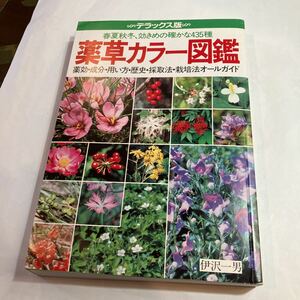 薬草カラー図鑑　デラックス版　美品ですが、裏表紙の角に僅かに折り目があります。