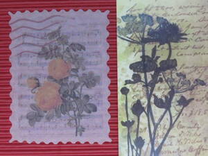 □■□43016-HS□■□[FLAKE-STICKER] ヴィンテージSTAMP_RETRO FLOWER PLANT CODE