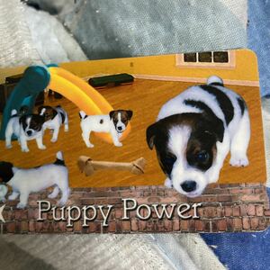 puppypower犬のカード使用済みシンガポール版テレホンカード2003