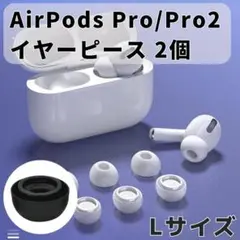 AirPods Pro イヤーピース 交換用 1ペア ブラック イヤーチップ L