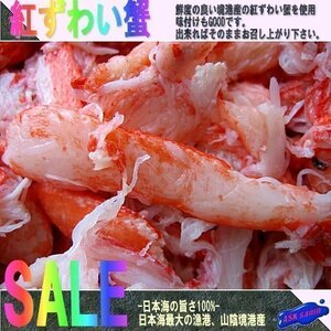 紅ずわい蟹「精棒500g」．．．日本海の旨さ100%！！ 山陰境港産