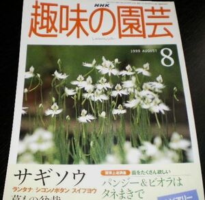 ●○ 趣味の園芸　1999年 ８月号 ○●