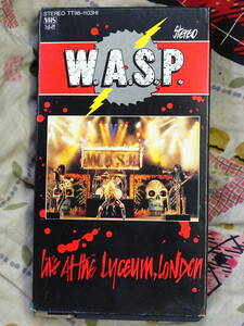 Wasp live at the Lyceum London 1984