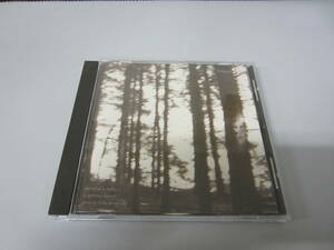 Cindytalk/The Wind Is Strong... UK向Austria盤CD ネオサイケ ダークウェイブ アンビエント ドローン Cocteau Twins My Bloody Valentine