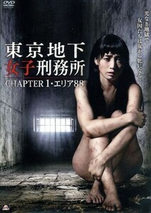 東京地下女子刑務所　ＣＨＡＰＴＥＲ１・エリア８８／樹花凜,あやなれい,倖田李梨,越坂康史（監督、脚本）,原啓二郎（製作総指揮）