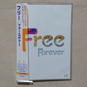 【DVD】フリー Free/Forever《訳あり》