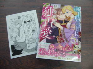 極上騎士団長の揺るぎない独占愛③◇直江亜季子◇4月 最新刊 ベリーズファンタジー コミックス 