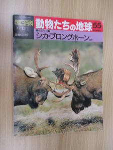 IZ1191 週刊朝日百科 動物たちの地球 平成4年7月2日発行 哺乳類 シカプロングホーン 殖行動 北アメリカ 草食獣 オジロジカ 生活領域