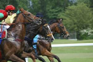 先週は回収率１６０％！　攻守の１点ワイド馬券術　初心者でも同じ買い目　競馬予想　競馬予想ソフト　必勝法　ソフト　副業　副収入