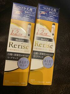 新品 花王 Rerise リライズ 白髪用 白髪染めサーバーヘッド つけかえ用 サーバー ブラック ヘアカラー まとまり仕上げ