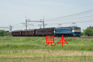 鉄道写真データ（JPEG）、00615786、EF65-501＋旧客回送、JR東北本線、東大宮〜蓮田、2016.05.19、（7167×4783）