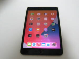 iPad mini5 64GB Wi-Fi　No457