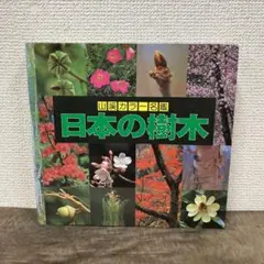 山渓カラー名鑑　日本の樹木