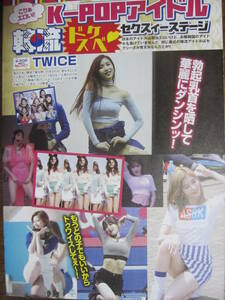 切り抜き　（313a-5）TWICET T-ARA　AOA　NineMuses LAYSHA BraveGirls BP Rania TAHITI