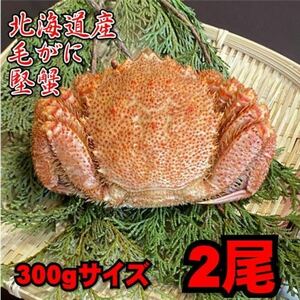 【北海道産】毛がに　2尾（300ｇサイズ）　堅蟹　毛蟹　けがに　ケガニ　蟹　かに　ボイル　母の日　父の日　お中元　お歳暮　年末